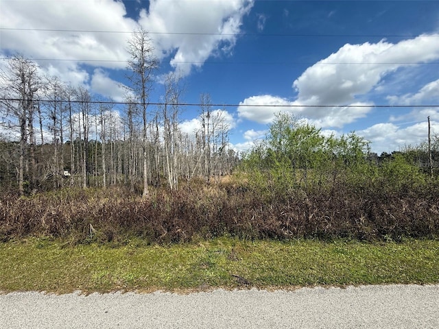 Listing photo 3 for Green Willow Run Lot 745, Wesley Chapel FL 33544