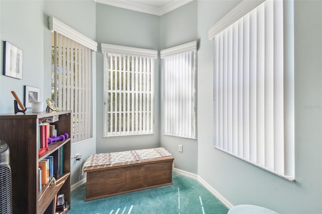 sitting room featuring crown molding, carpet flooring, and baseboards