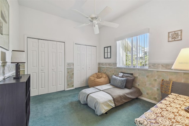 bedroom featuring carpet floors, a wainscoted wall, high vaulted ceiling, and two closets