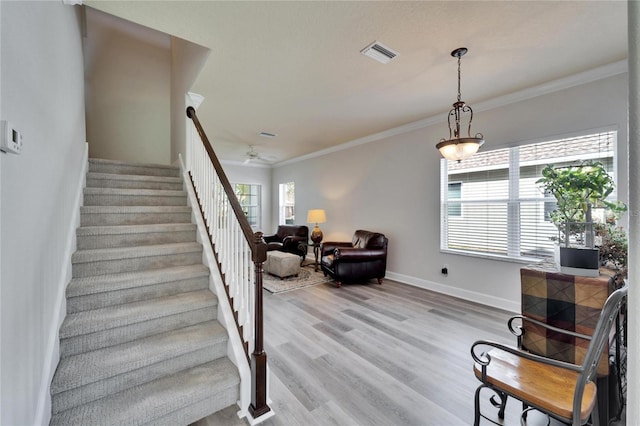 stairs with wood finished floors, a ceiling fan, visible vents, baseboards, and ornamental molding