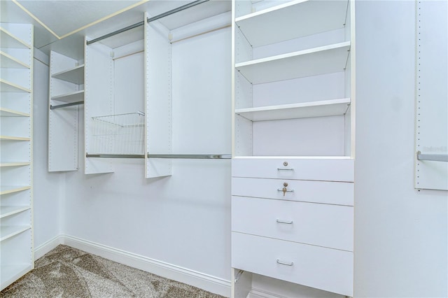 spacious closet featuring carpet