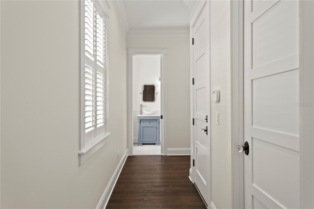 5024 W Homer Ave, Tampa, FL 33629 - photo 23