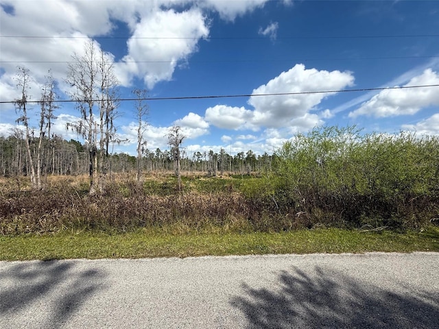 Green Willow Run Lot 746, Wesley Chapel FL, 33544 land for sale