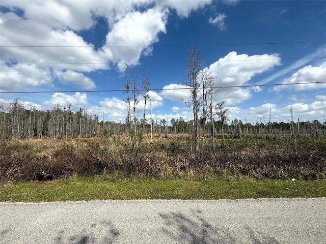 Listing photo 2 for Green Willow Run Lot 746, Wesley Chapel FL 33544