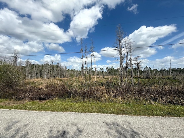 Listing photo 3 for Green Willow Run Lot 746, Wesley Chapel FL 33544