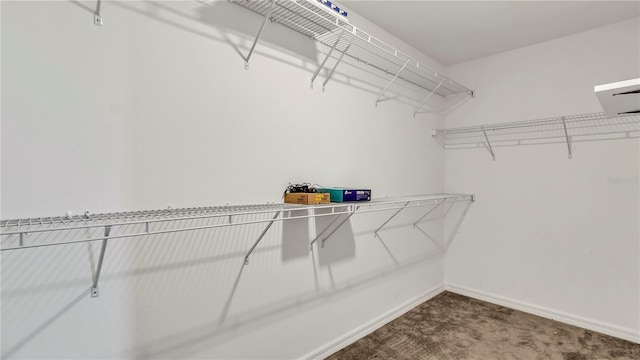 spacious closet with carpet flooring