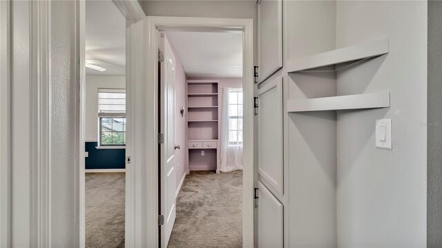 walk in closet featuring light carpet