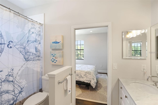 full bathroom featuring a healthy amount of sunlight, a shower with curtain, toilet, and vanity