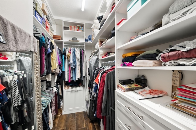 spacious closet featuring dark wood-style flooring