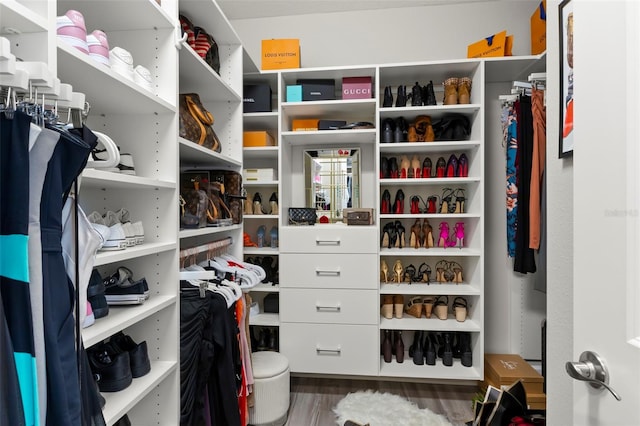 walk in closet featuring wood finished floors