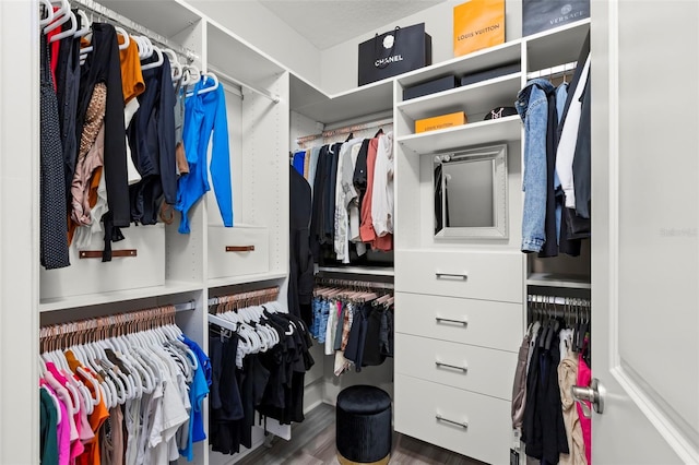 walk in closet featuring wood finished floors