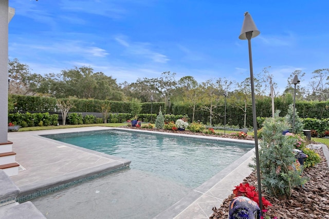 view of swimming pool with a patio area, fence, and a fenced in pool