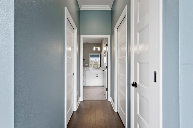 hallway featuring dark wood-style floors and ornamental molding