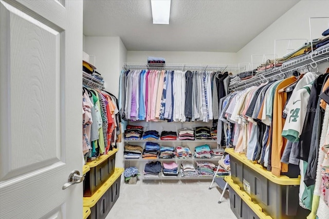 walk in closet featuring carpet flooring