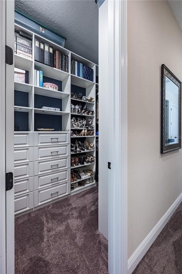 spacious closet featuring carpet flooring