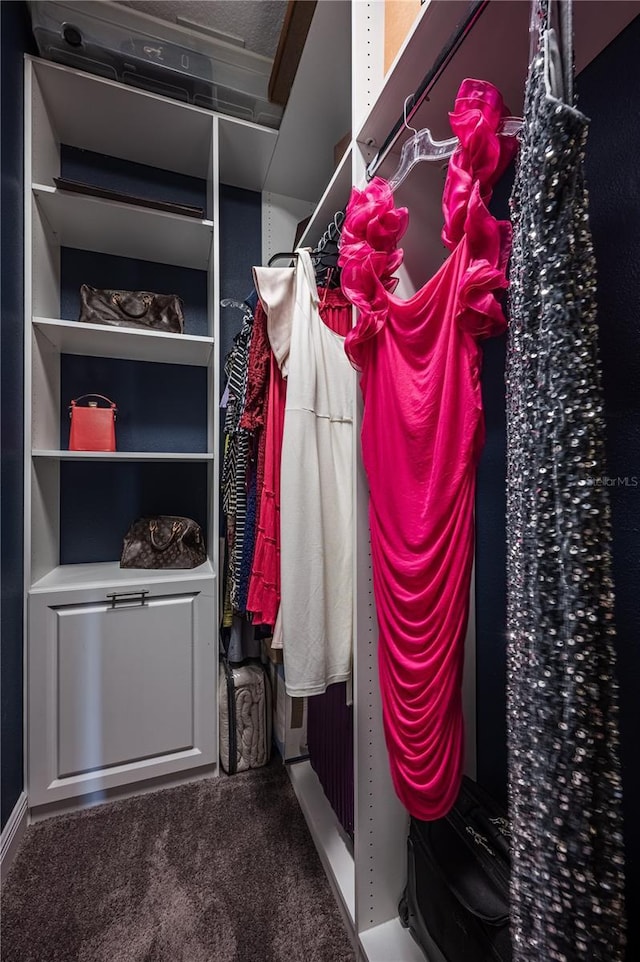walk in closet with carpet floors