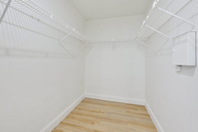 walk in closet with light wood finished floors