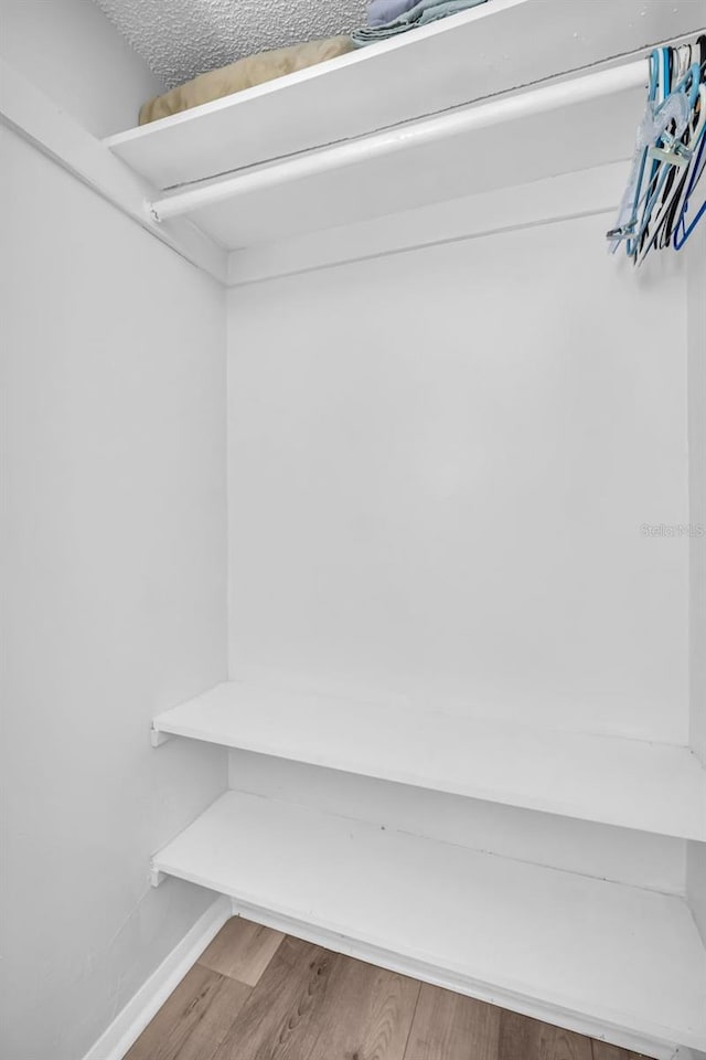 spacious closet with wood finished floors