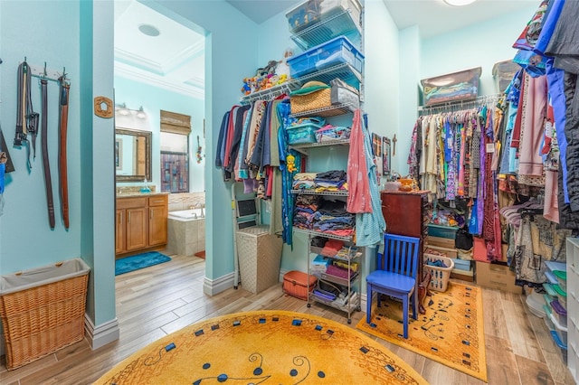 walk in closet with wood finished floors