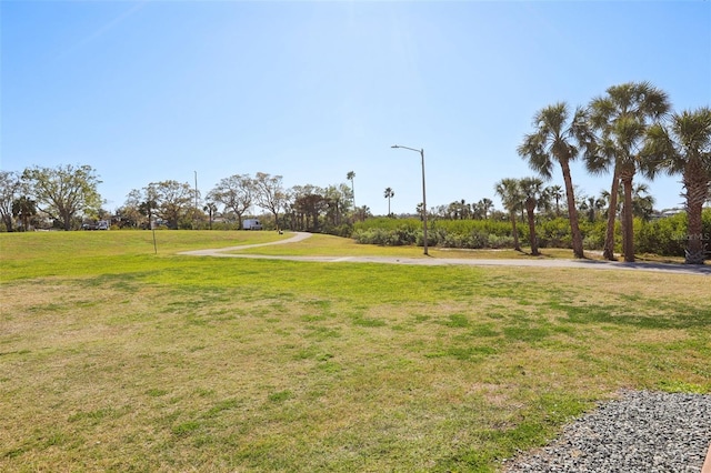 view of community with a lawn