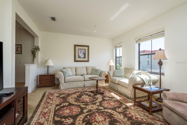 carpeted living area with baseboards, visible vents, and a textured ceiling