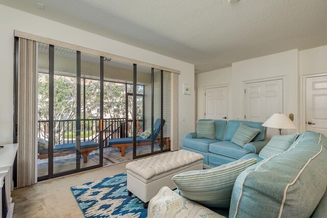 living room with a textured ceiling and carpet floors