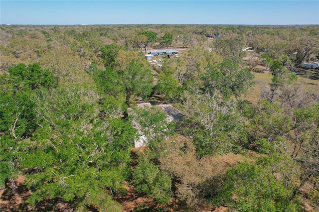 aerial view with a forest view