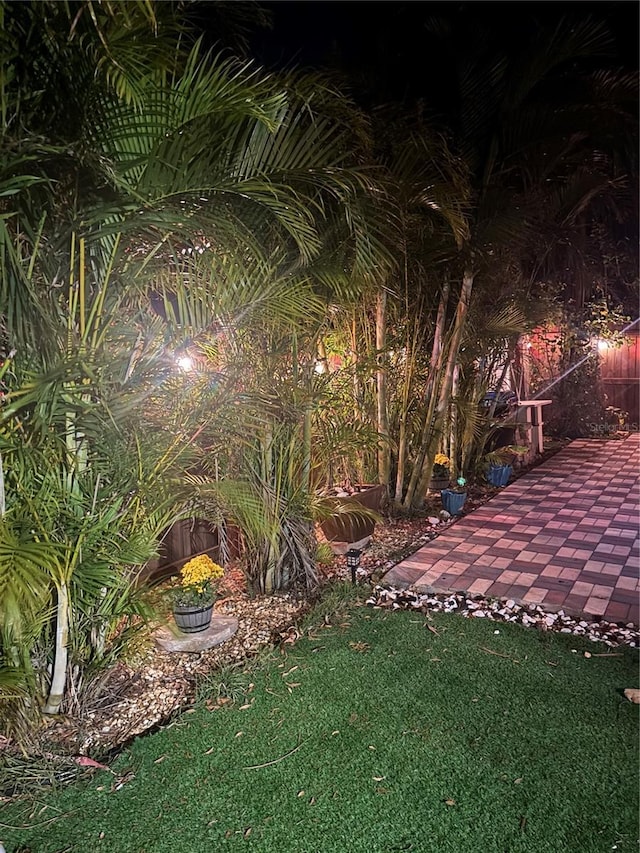 1859 Oklahoma Ave NE, Saint Petersburg, FL 33703 - view of yard