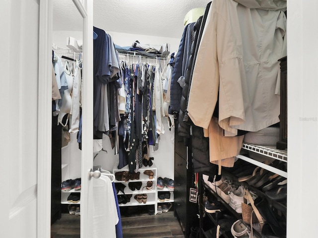 spacious closet with wood finished floors