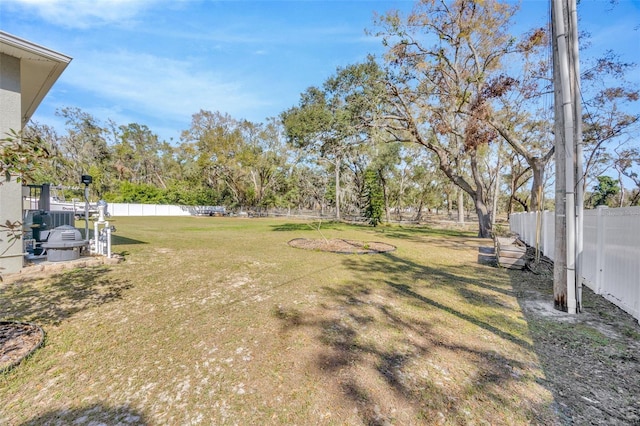 4411 Culbreath Rd, Valrico, FL 33596 - view of yard featuring a fenced backyard