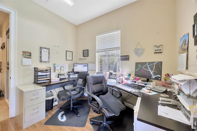 4411 Culbreath Rd, Valrico, FL 33596 - office featuring light wood-style floors