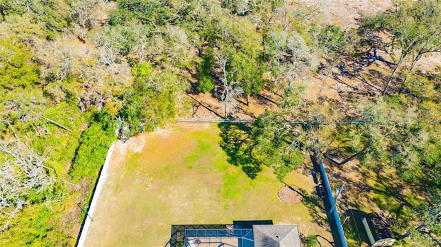 4411 Culbreath Rd, Valrico, FL 33596 - birds eye view of property