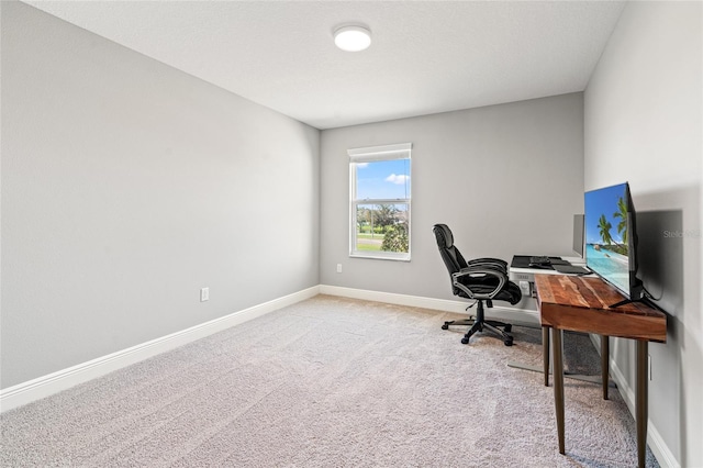 office space with baseboards and carpet flooring