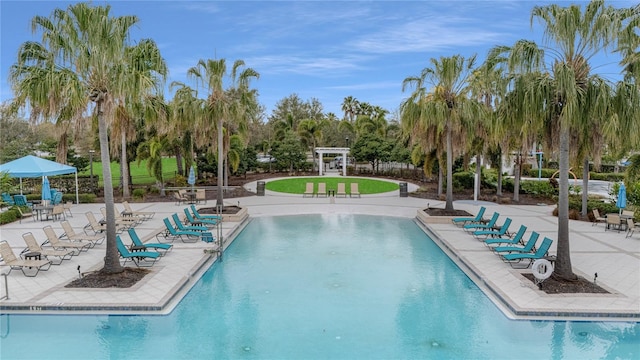 pool with a patio area, fence, and a pergola