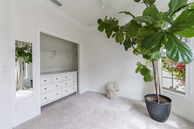 interior space featuring carpet, a closet, visible vents, and baseboards