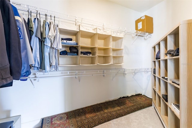 spacious closet with carpet