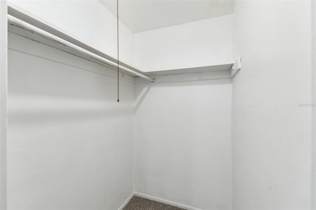 spacious closet with carpet floors