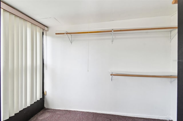 spacious closet with carpet flooring