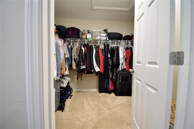 walk in closet with carpet floors and attic access