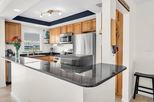 kitchen with visible vents, dark stone countertops, a tray ceiling, stainless steel appliances, and a sink