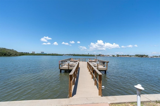 dock area with a water view