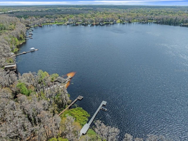 drone / aerial view with a water view and a forest view