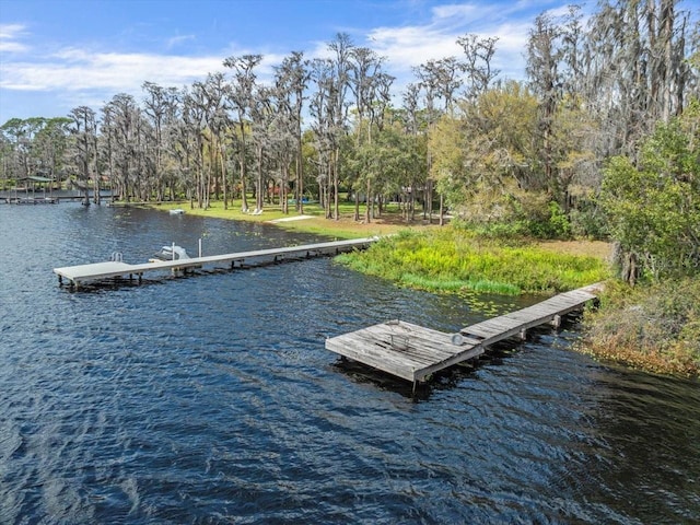 dock area with a water view