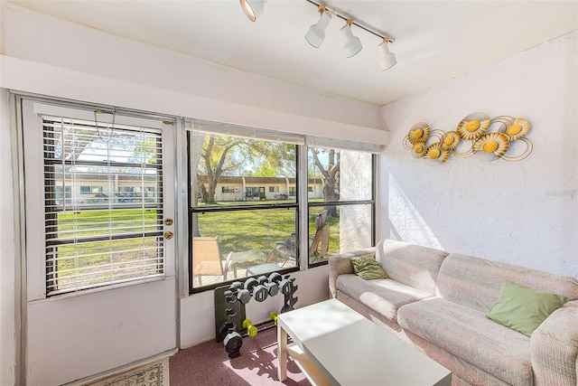 sunroom / solarium with rail lighting