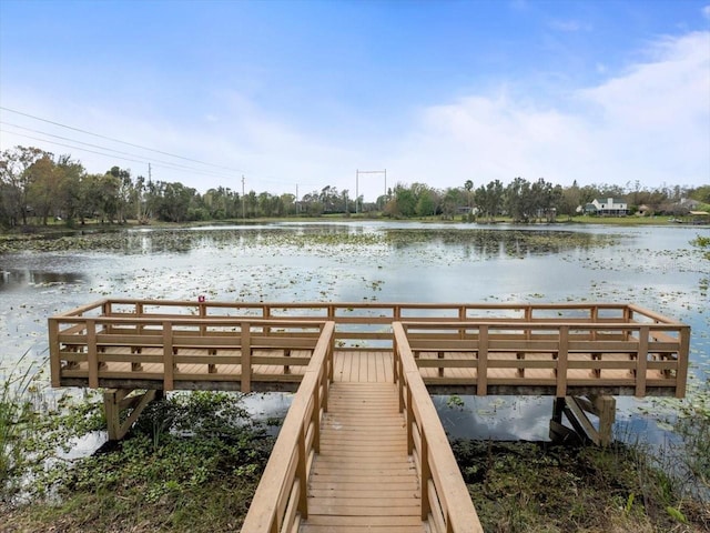 dock area featuring a water view