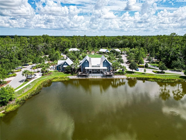 bird's eye view featuring a water view and a wooded view