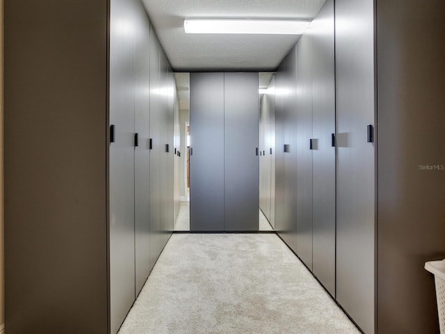 interior space featuring a textured ceiling and light colored carpet