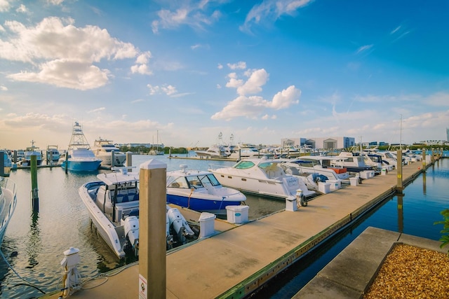 dock area with a water view