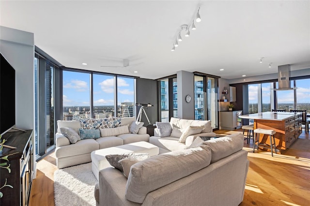 living room with expansive windows, a healthy amount of sunlight, rail lighting, and wood finished floors