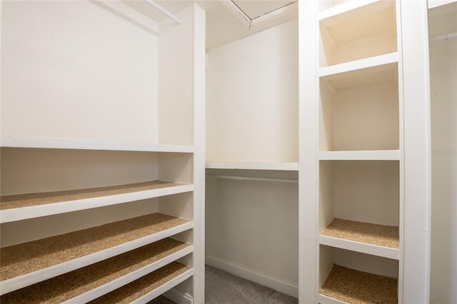 walk in closet featuring carpet and attic access